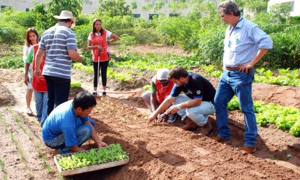 Agronomia presta suporte técnico em horta de associação